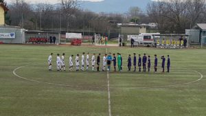 under 15 torino fiorentina